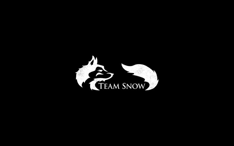 Team Snow logo