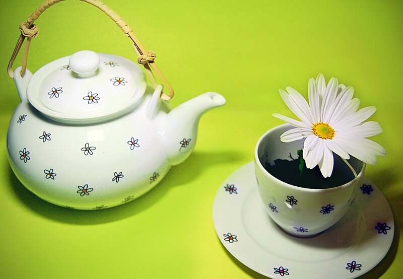 Teapot and Cup with Flower