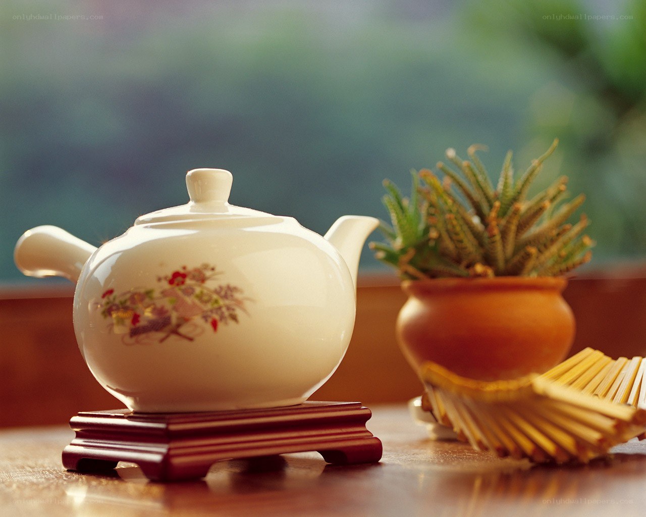 Teapot and succulent on table