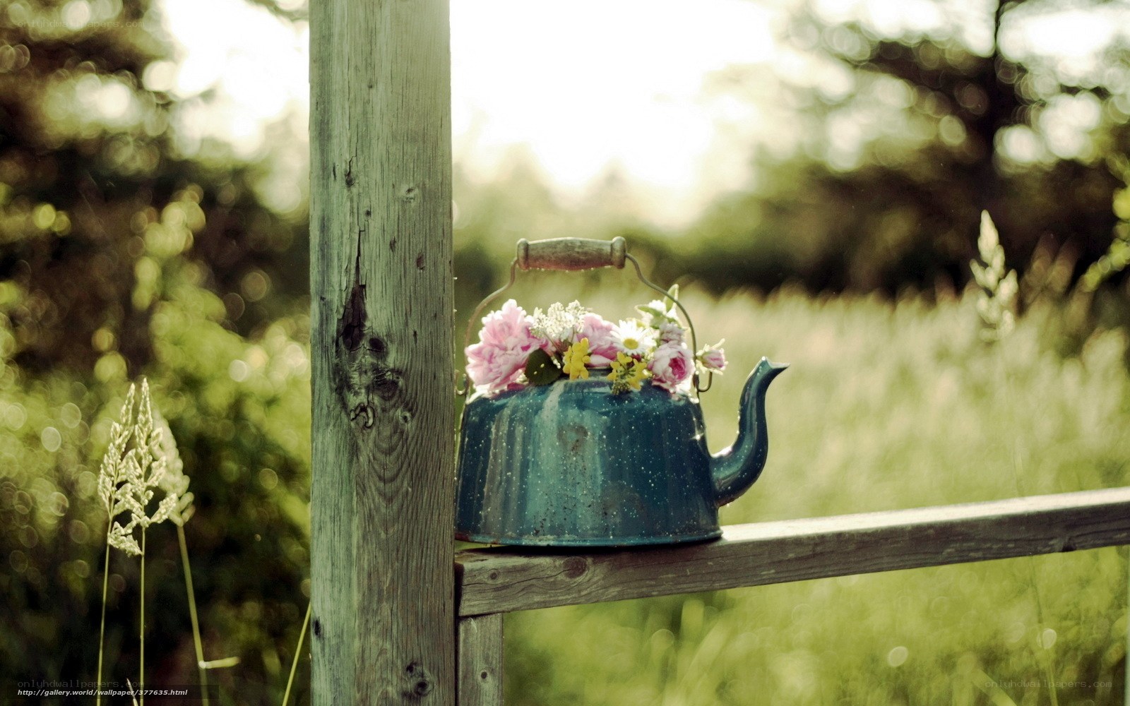 Teapot with flowers in garden