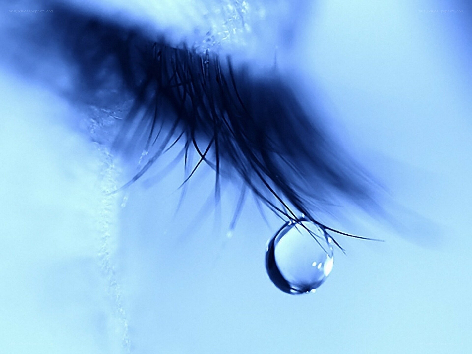 tear drop on eyelash