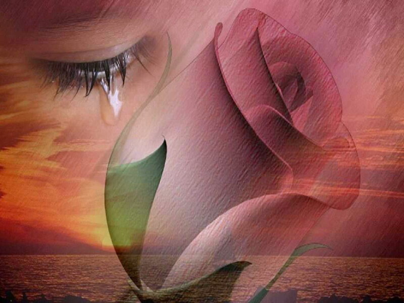 Tearful Eye and Rose