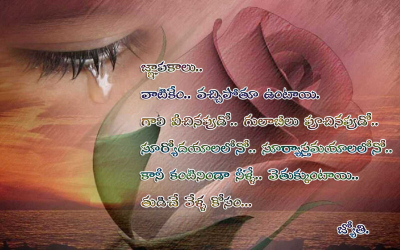 Tearful rose image