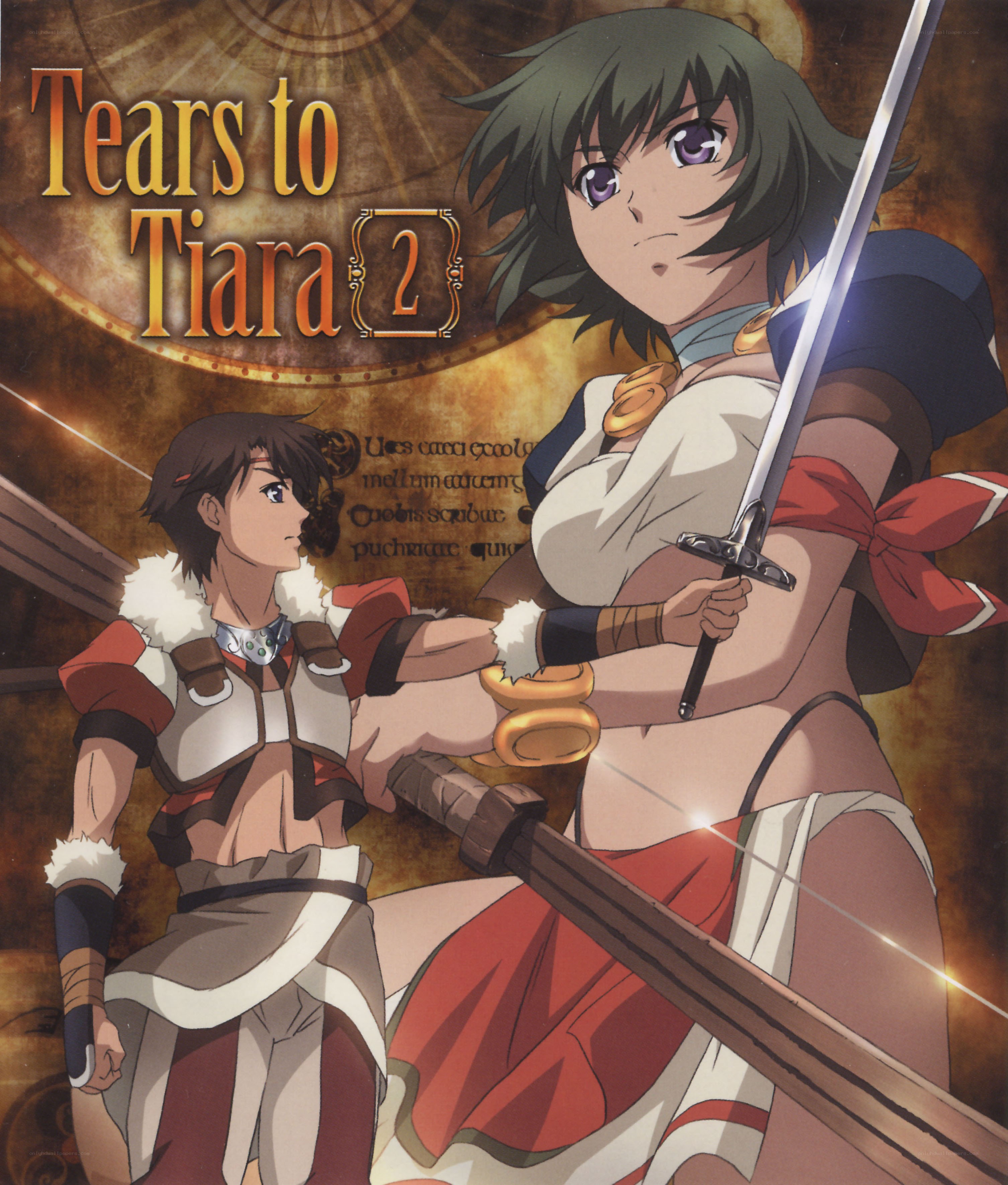 Tears to Tiara 2 artwork