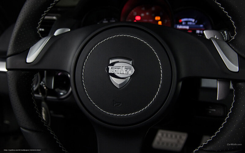 TechArt steering wheel close-up
