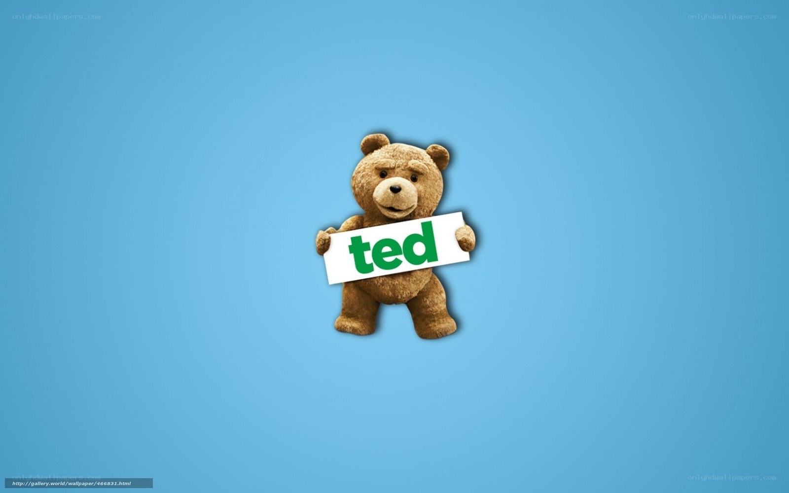 Ted the bear holding a sign