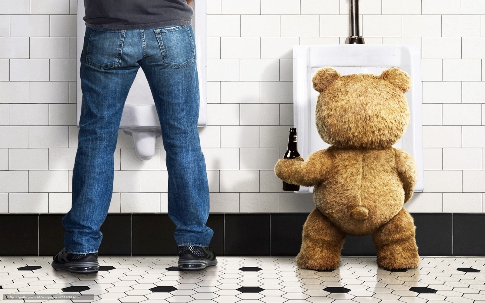 Ted the bear in a bathroom