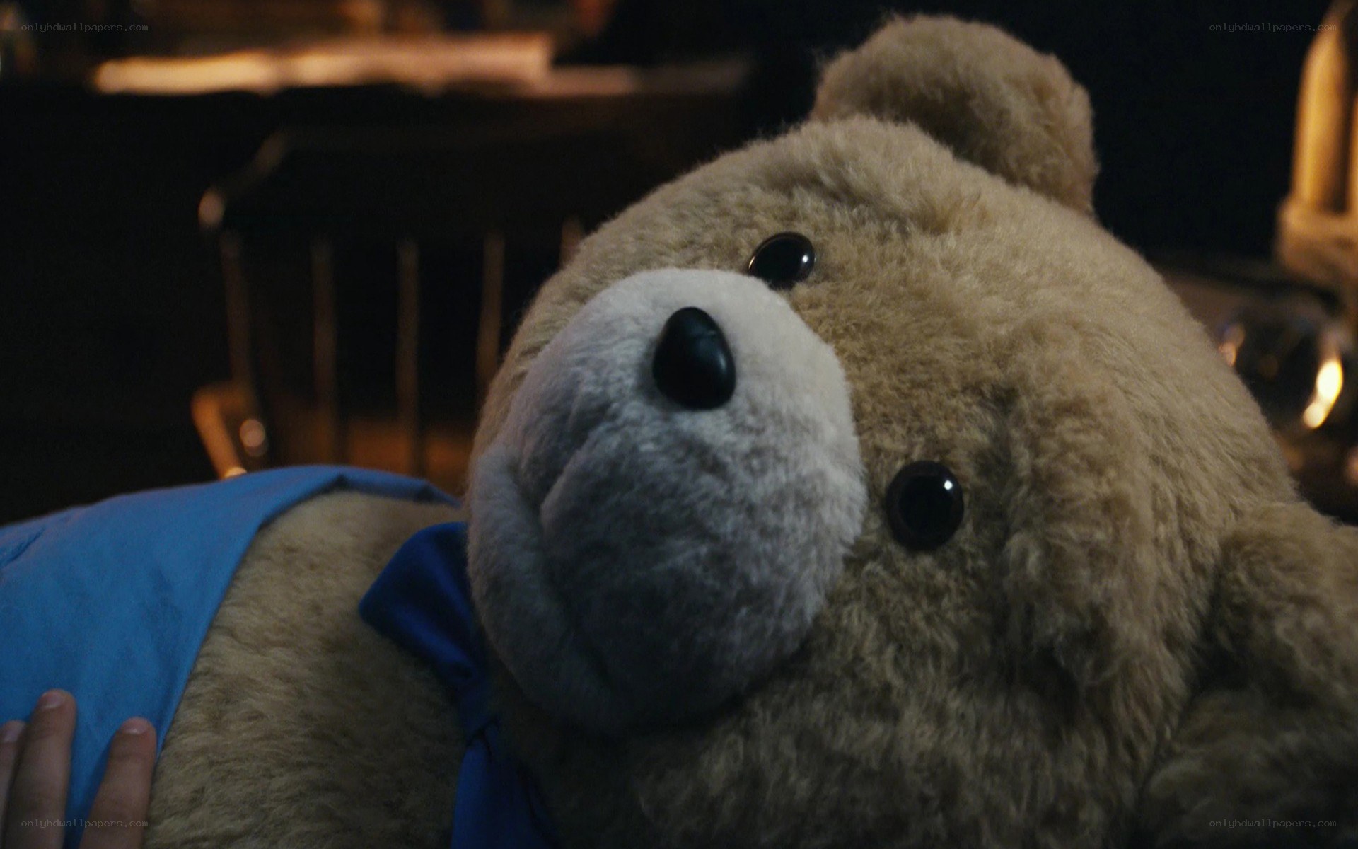Ted the teddy bear close-up