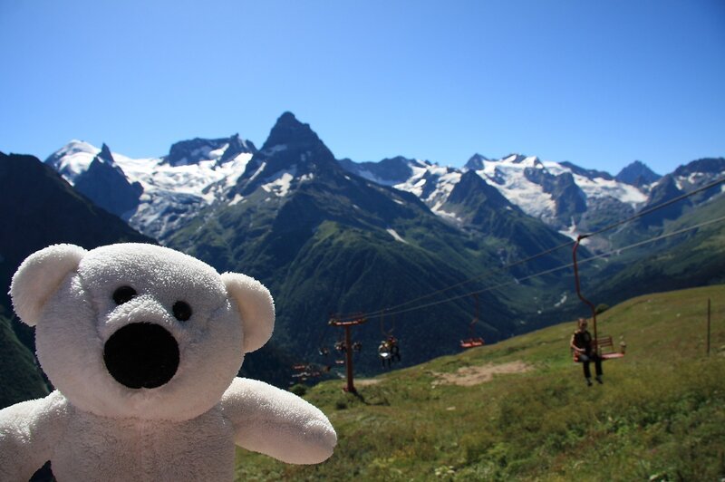 Teddy bear at mountain resort