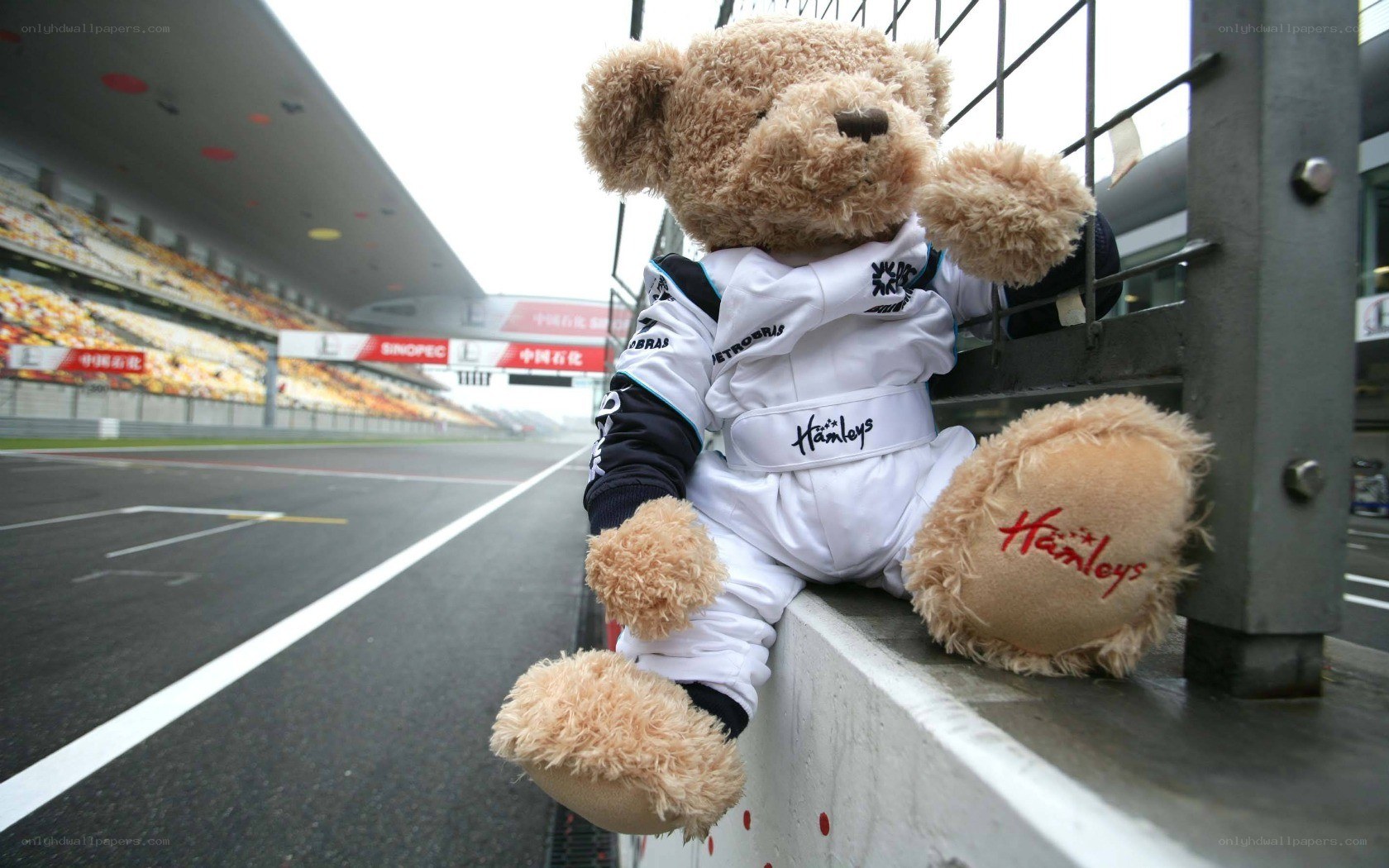Teddy bear at race track