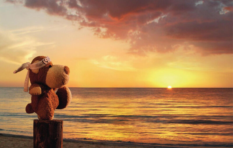Teddy bear at sunset