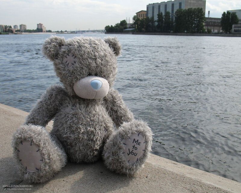 Teddy bear by the river
