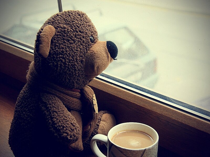 teddy bear by the window