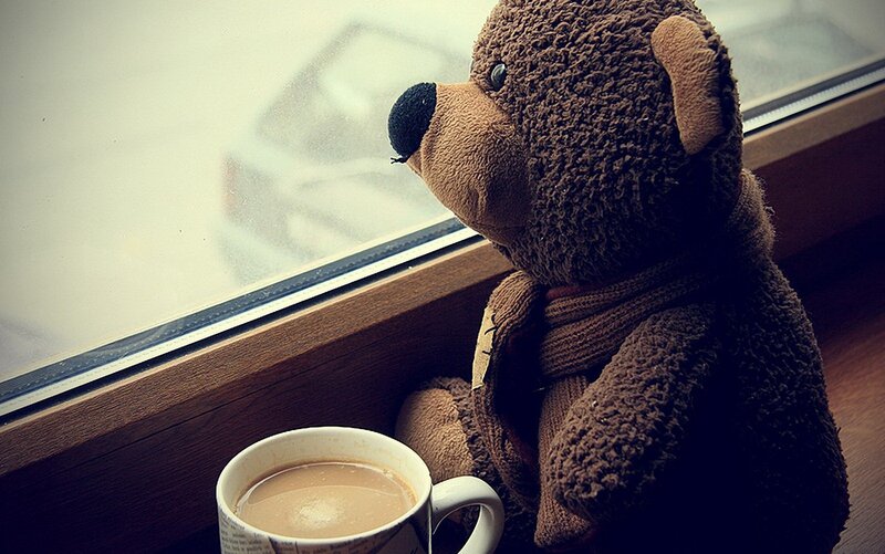 Teddy Bear by Window — Brown, Calm, Morning