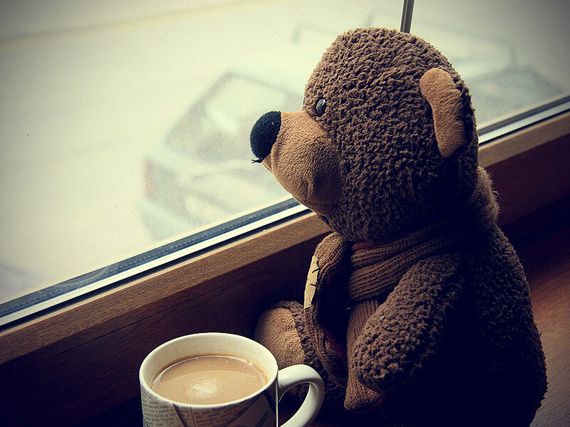 Teddy Bear by Window — Brown, Calm, Photograph