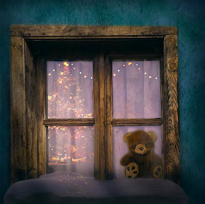 Teddy Bear by Window — Brown, Cozy