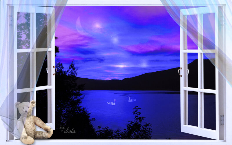Teddy Bear by Window — Purple