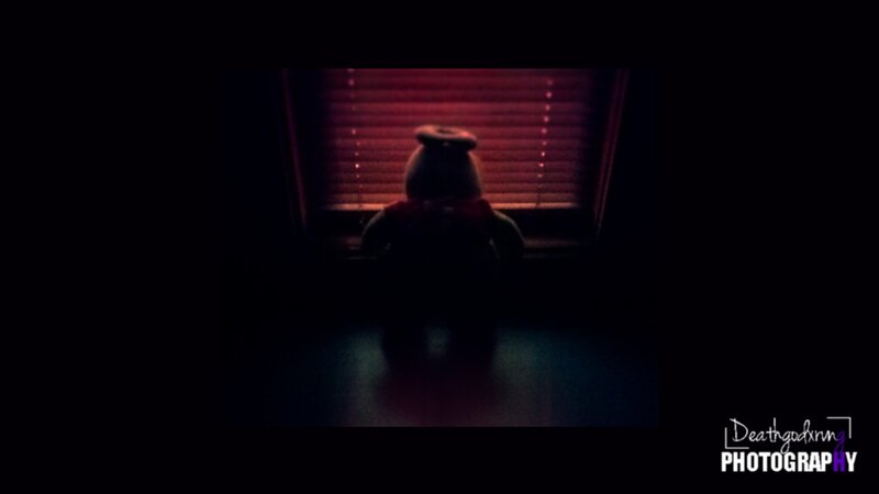 teddy bear by window
