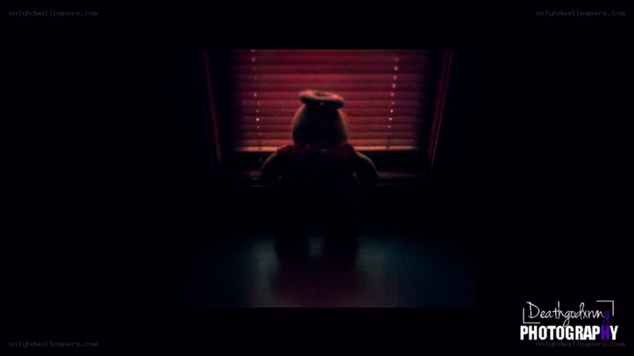 teddy bear by window