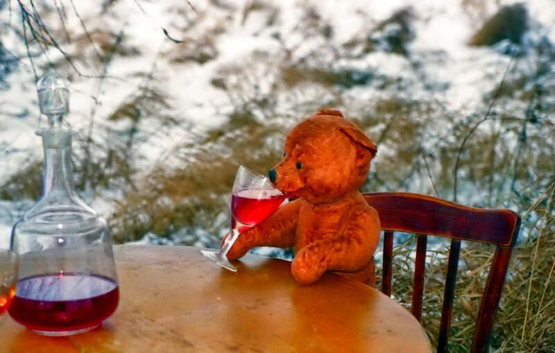 Teddy Bear Drinking Wine