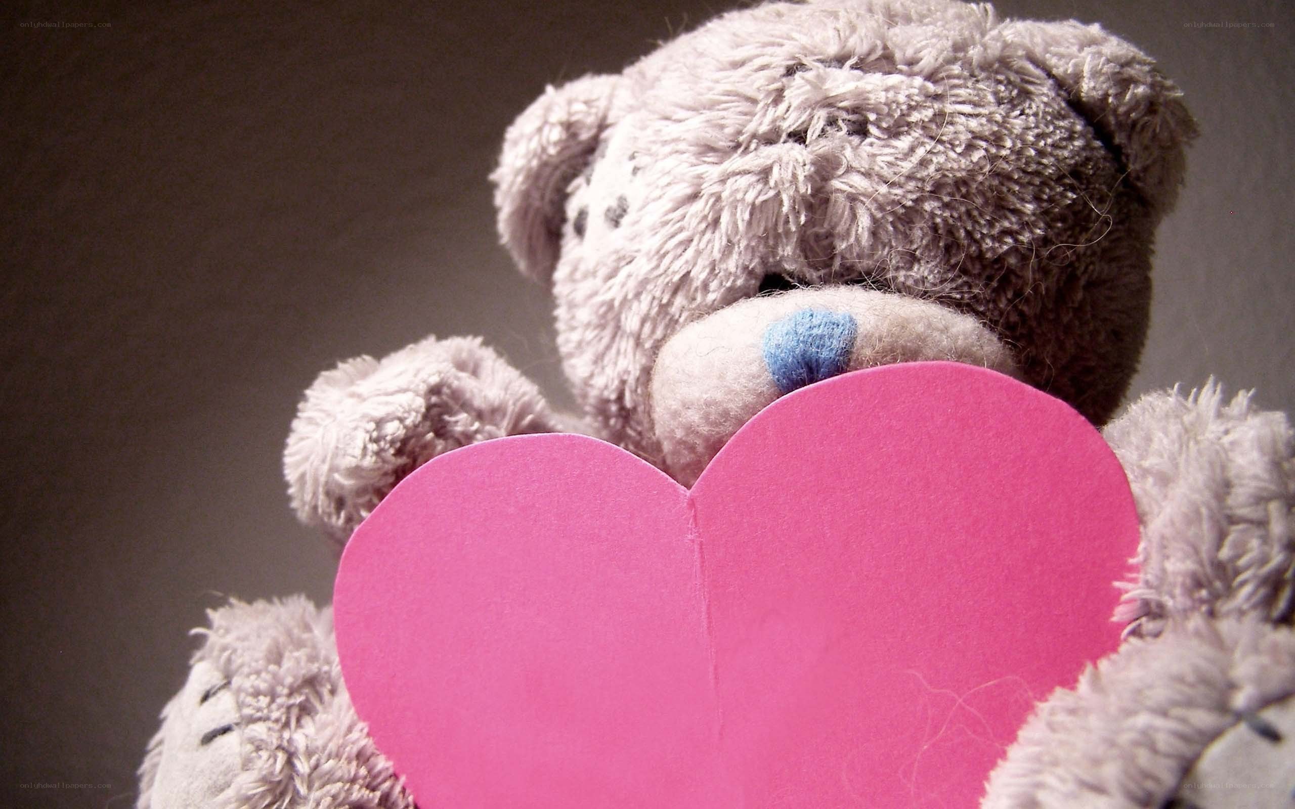 teddy bear holding heart