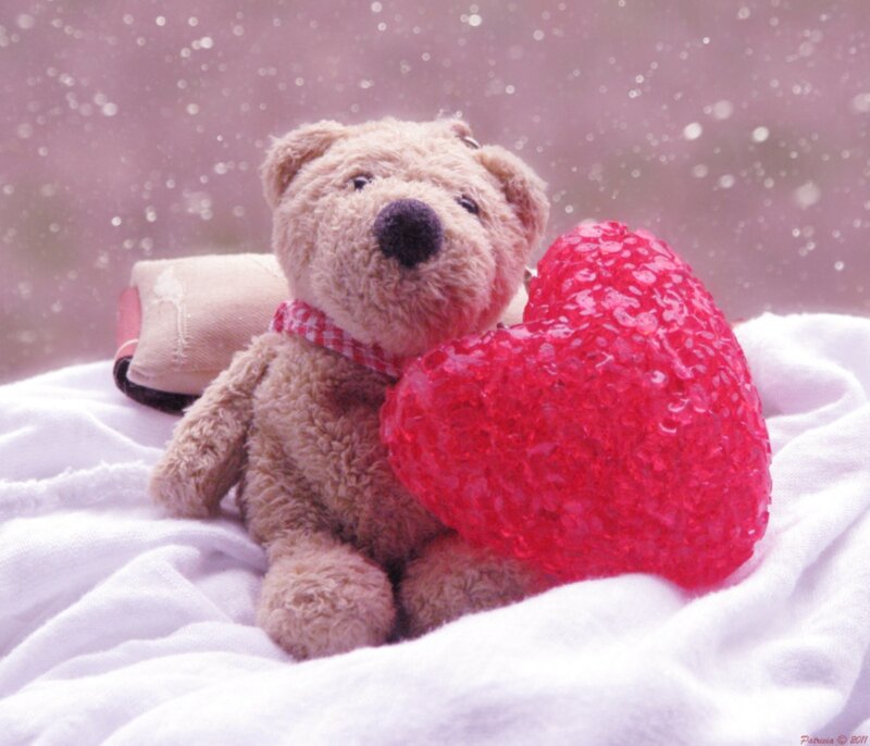 Teddy Bear Holding Heart — Brown, Sentimental, Photograph, Blanket