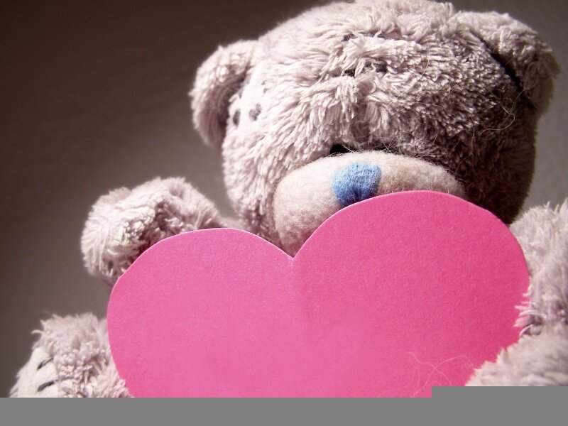 Teddy Bear Holding Heart — Pink, Sentimental, Photograph