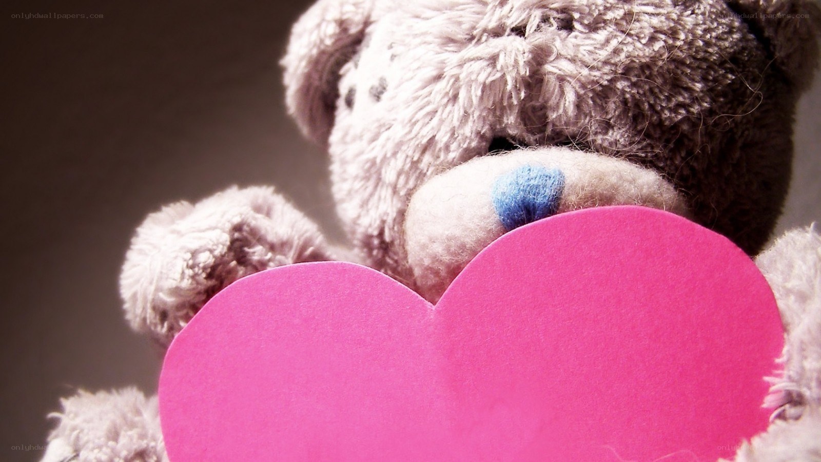 teddy bear holding pink heart