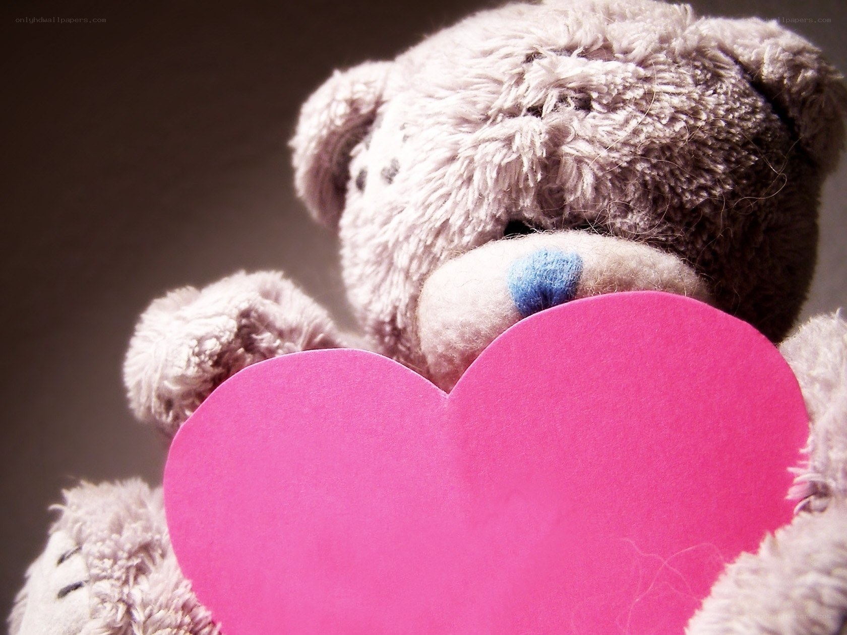 teddy bear holding pink heart