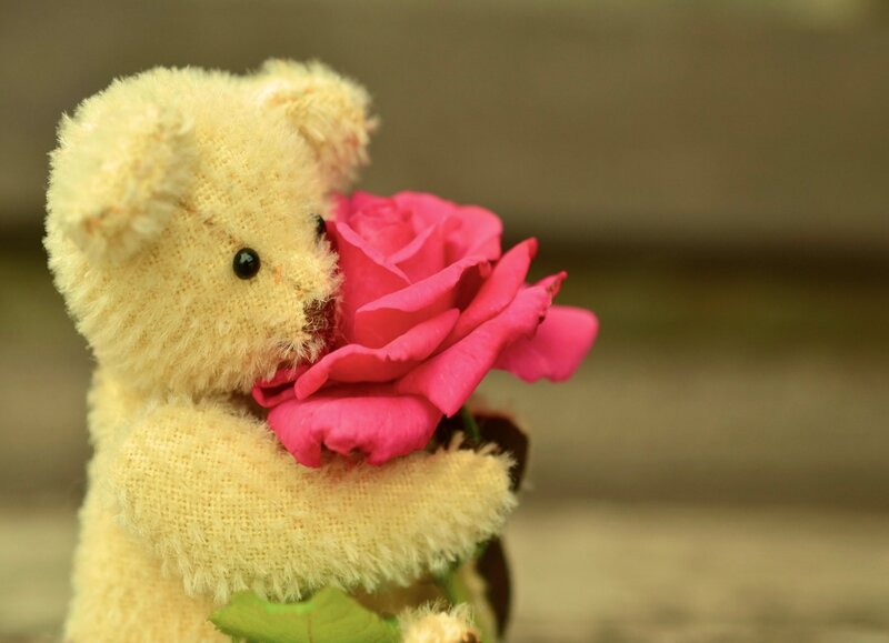 Teddy Bear Holding Rose — Pink