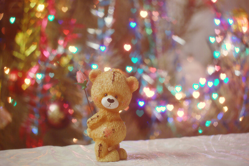 Teddy Bear Holding Rose