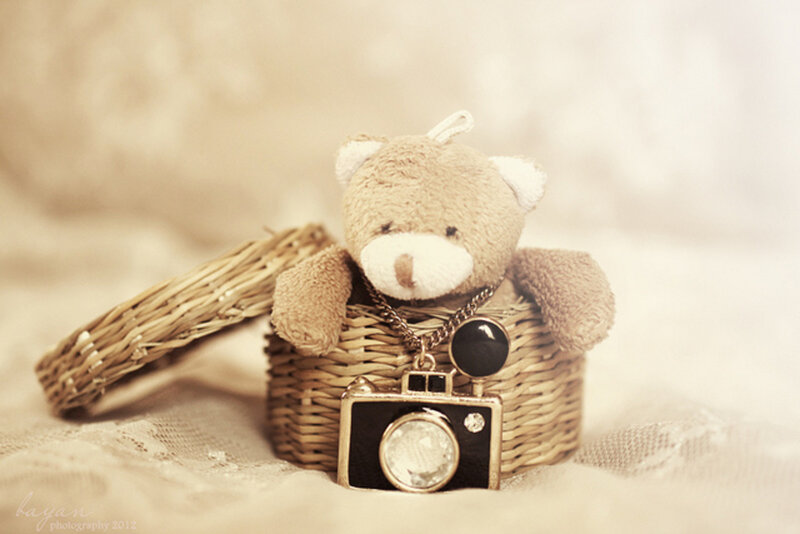 Teddy Bear in Basket — Beige