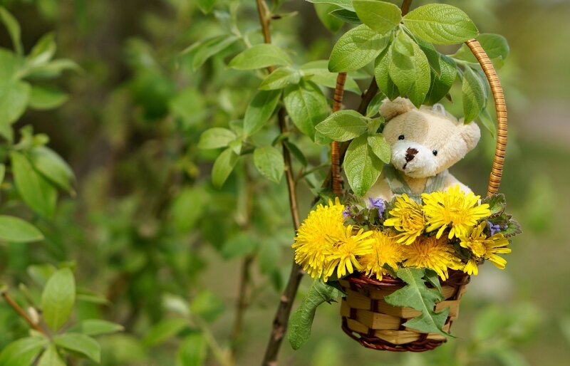 Teddy Bear in Basket — Yellow