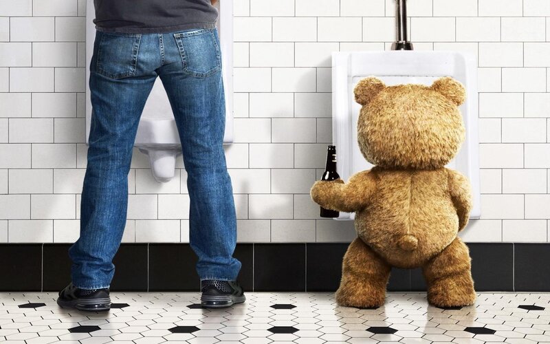 Teddy Bear in Bathroom