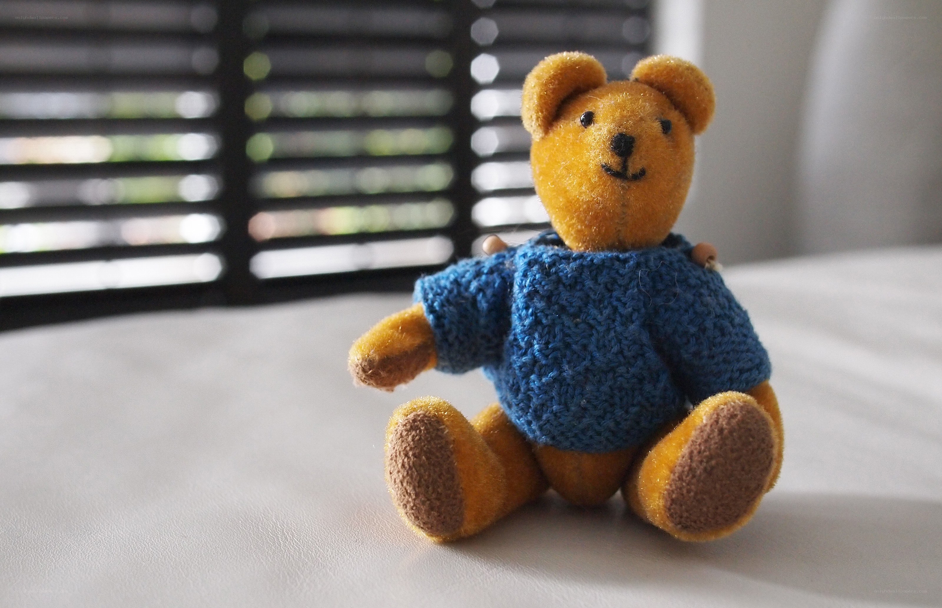 Teddy bear in blue sweater