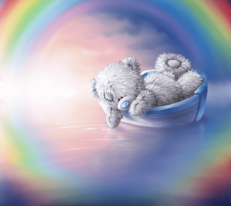 Teddy Bear in Boat