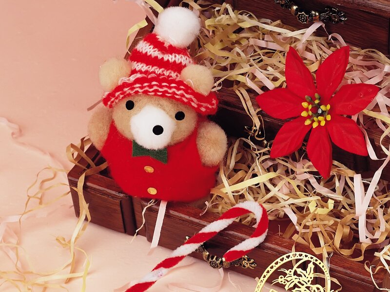 Teddy Bear in Box — Red