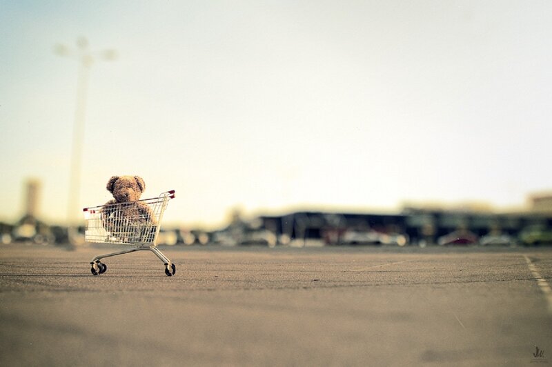 Teddy Bear in Cart