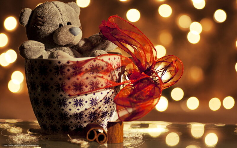 Teddy Bear in Cup — Brown, Cozy, Night, Photograph
