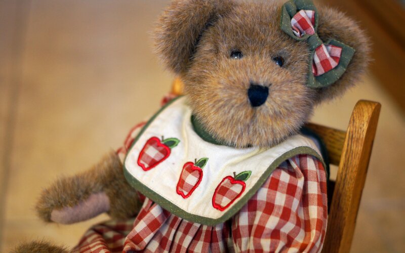 Teddy Bear in Dress — Brown