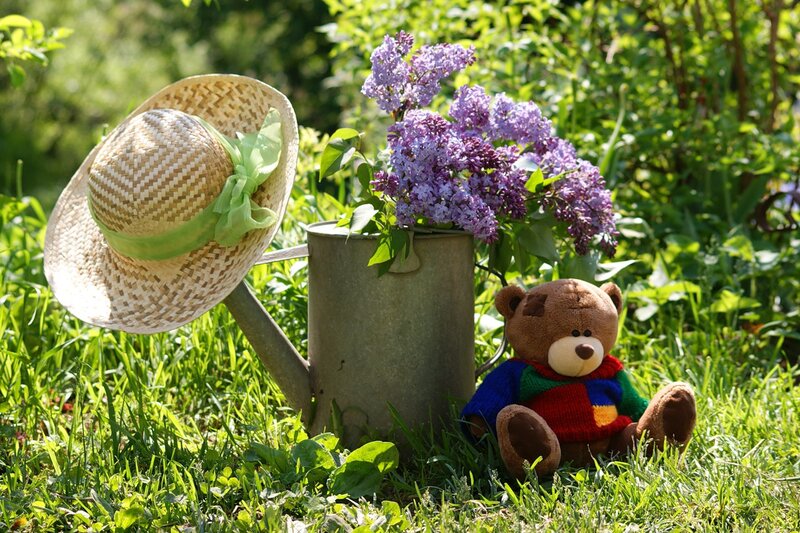 Teddy Bear in Garden — Green, Serene