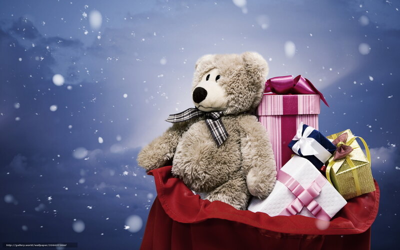 Teddy Bear in Gift Sack