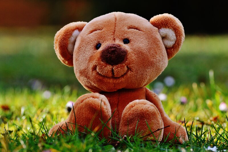 Teddy bear in grass