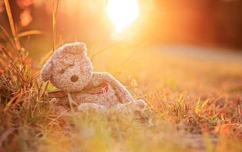 Teddy Bear in Grass — Yellow