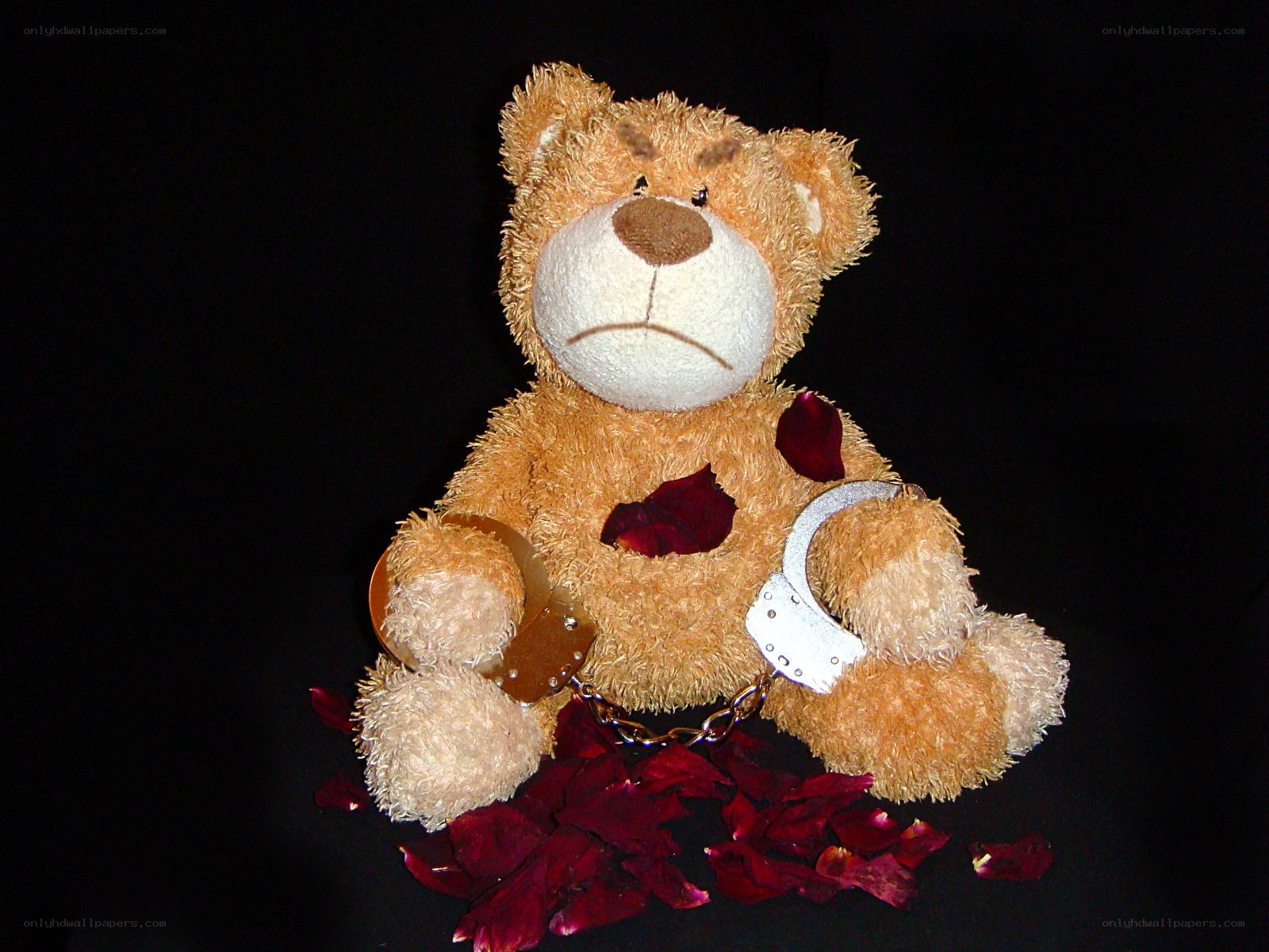 teddy bear in handcuffs