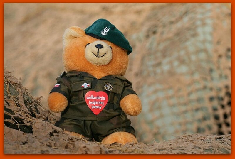 Teddy Bear in Military Uniform