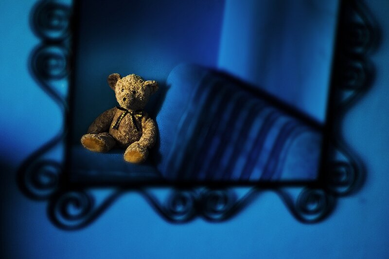 Teddy Bear in Mirror