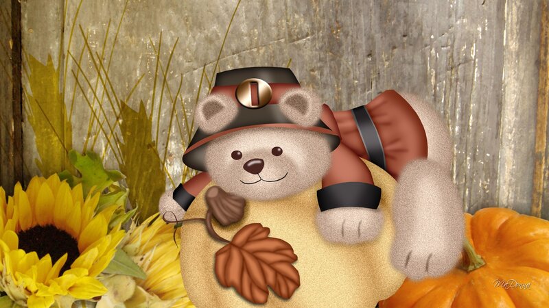 Teddy Bear in Pilgrim Hat