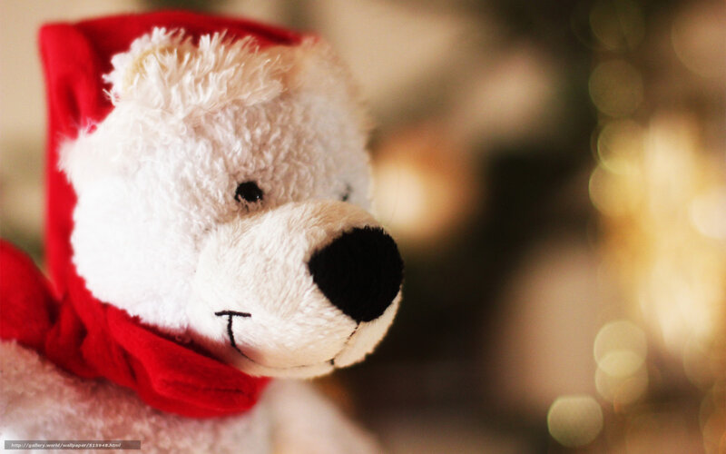 teddy bear in red hat