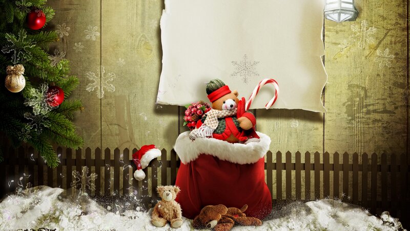 Teddy Bear in Sack — Red, Festive, Winter